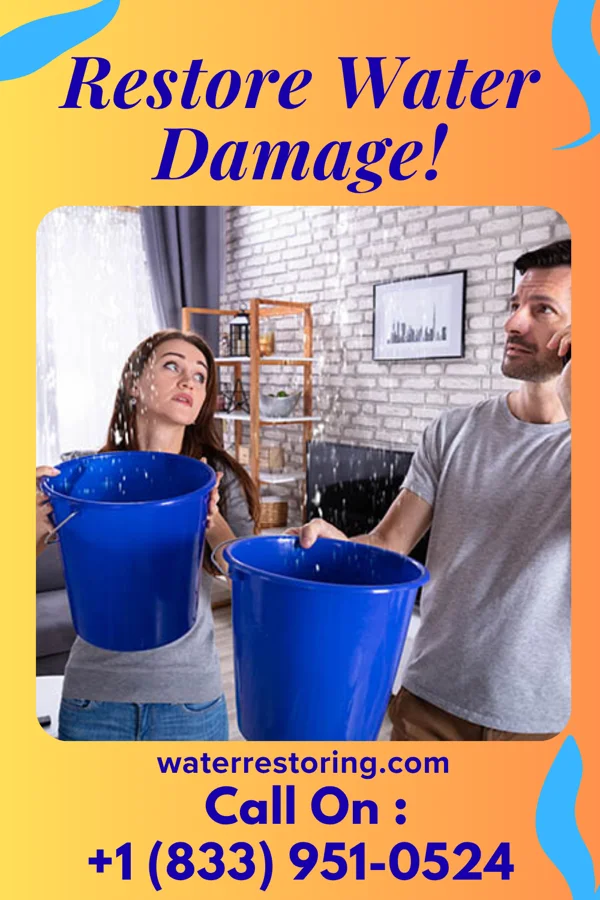 water restoration Heritage Mitigation Services Stockbridge