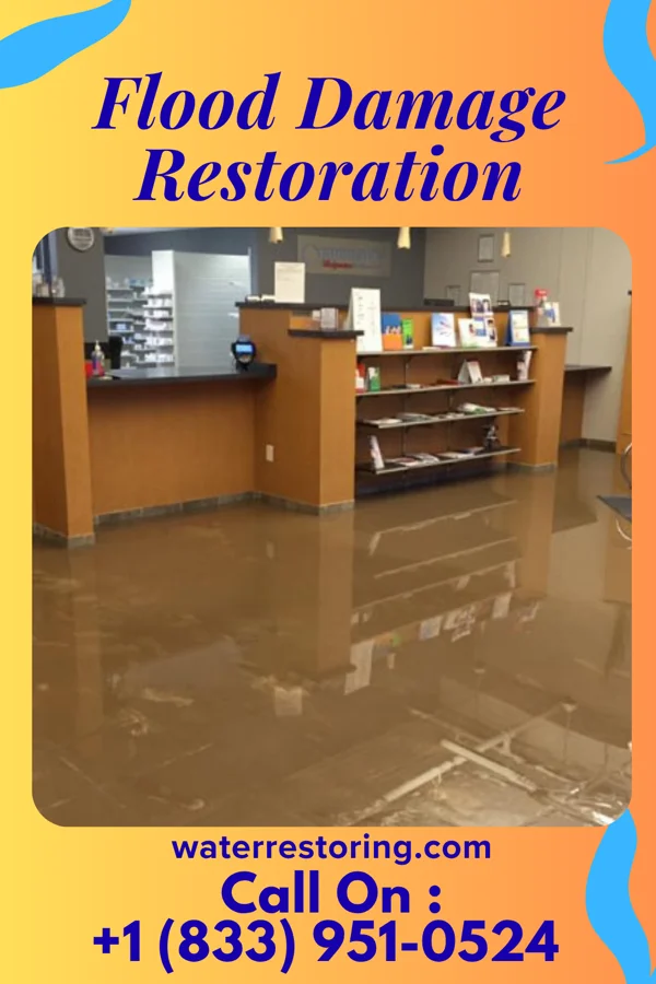 Flood Damage Restoration in Stockbridge, WI