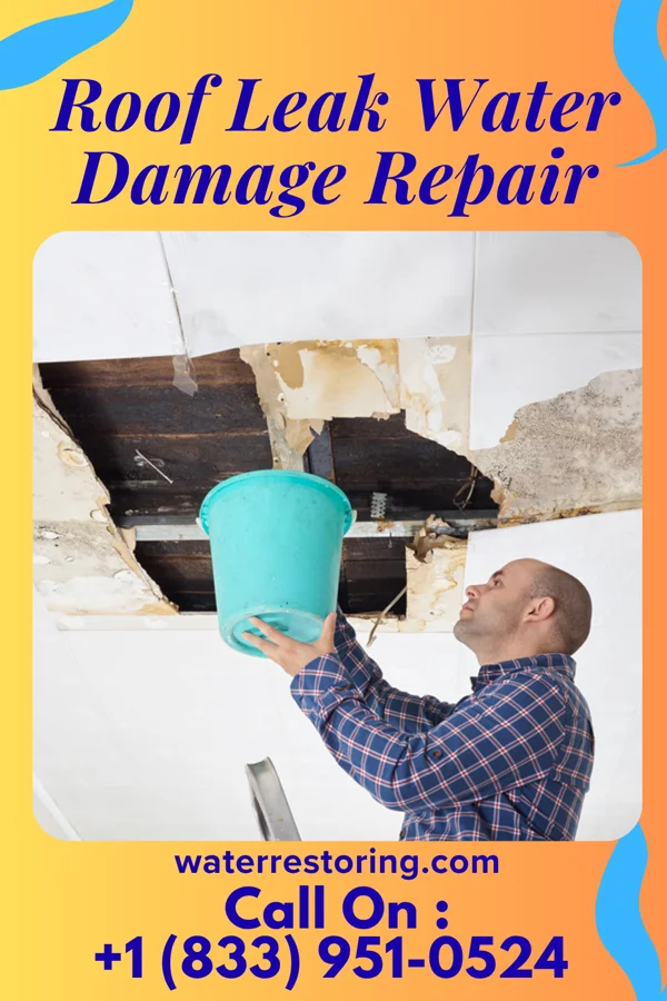 Roof Leak Water Damage Repair in Stockbridge, WI